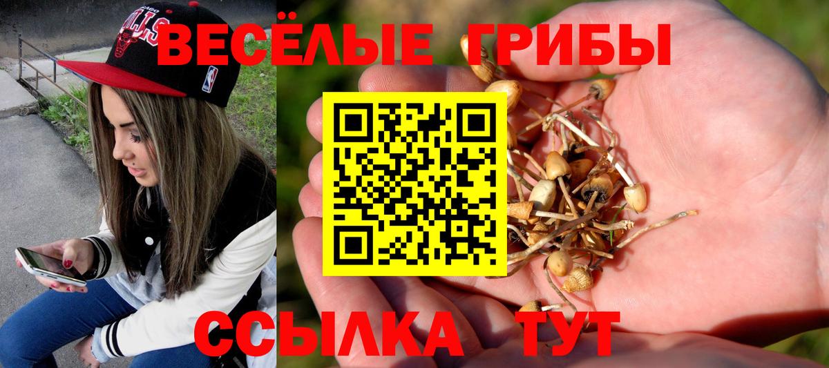 Галлюциногенные грибы Psilocybine cubensis  Вход с VPN  Галлюциногенные грибы прущие грибы  Королёв 