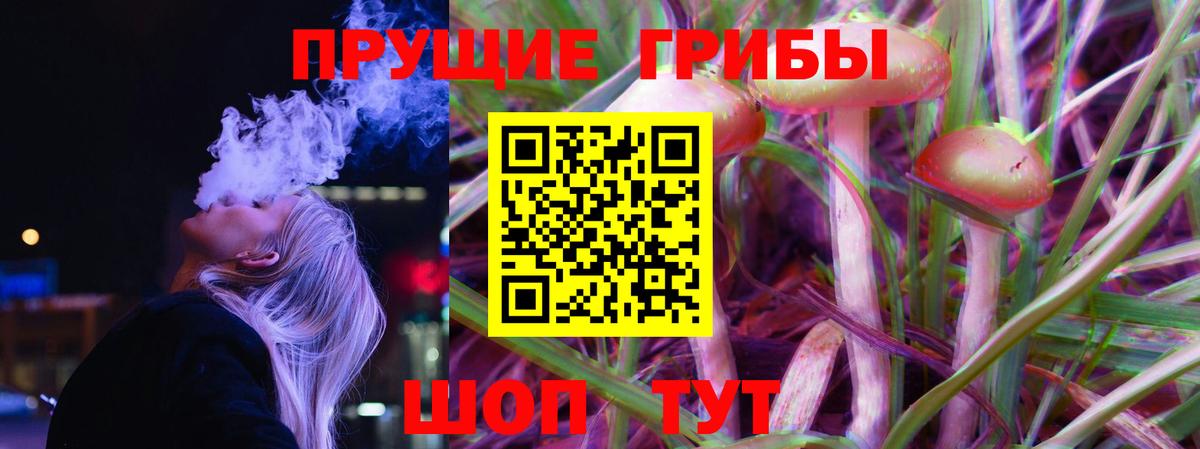 Псилоцибиновые грибы мухоморы Королёв